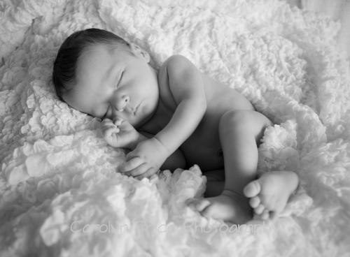 Carolyn Price Newborn Sculpture Photography